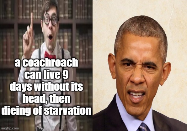 Speechless | a coachroach can live 9 days without its head, then dieing of starvation | image tagged in fun facts,obama | made w/ Imgflip meme maker