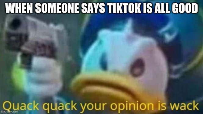 quack quack your opinion is wack |  WHEN SOMEONE SAYS TIKTOK IS ALL GOOD | image tagged in quack quack your opinion is wack | made w/ Imgflip meme maker
