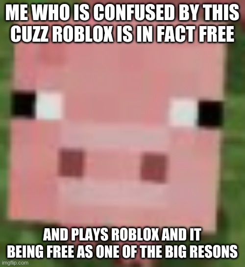 me when | ME WHO IS CONFUSED BY THIS CUZZ ROBLOX IS IN FACT FREE AND PLAYS ROBLOX AND IT BEING FREE AS ONE OF THE BIG RESONS | image tagged in me when | made w/ Imgflip meme maker