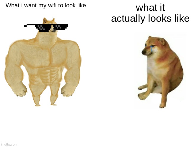 Buff Doge vs. Cheems Meme |  What i want my wifi to look like; what it actually looks like | image tagged in memes,buff doge vs cheems | made w/ Imgflip meme maker