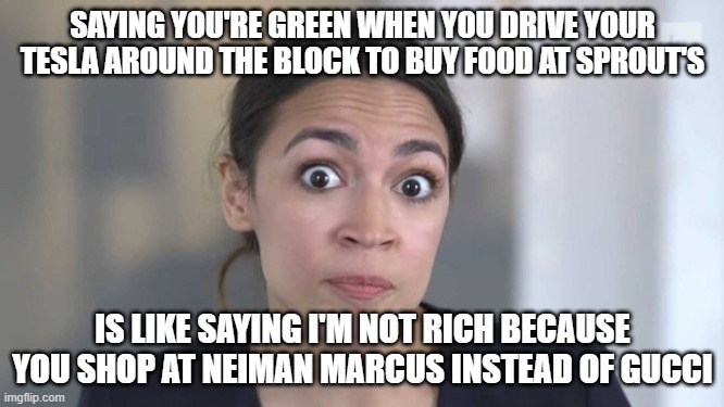 #AOC, leader of the Fraud Squad | SAYING YOU'RE GREEN WHEN YOU DRIVE YOUR TESLA AROUND THE BLOCK TO BUY FOOD AT SPROUT'S; IS LIKE SAYING I'M NOT RICH BECAUSE YOU SHOP AT NEIMAN MARCUS INSTEAD OF GUCCI | image tagged in crazy alexandria ocasio-cortez,no excuses,lliar,why am i in hell | made w/ Imgflip meme maker