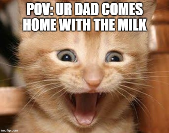 Excited Cat Meme |  POV: UR DAD COMES HOME WITH THE MILK | image tagged in memes,excited cat | made w/ Imgflip meme maker
