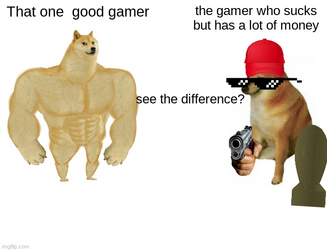 Buff Doge vs. Cheems | That one  good gamer; the gamer who sucks but has a lot of money; see the difference? | image tagged in memes,buff doge vs cheems | made w/ Imgflip meme maker