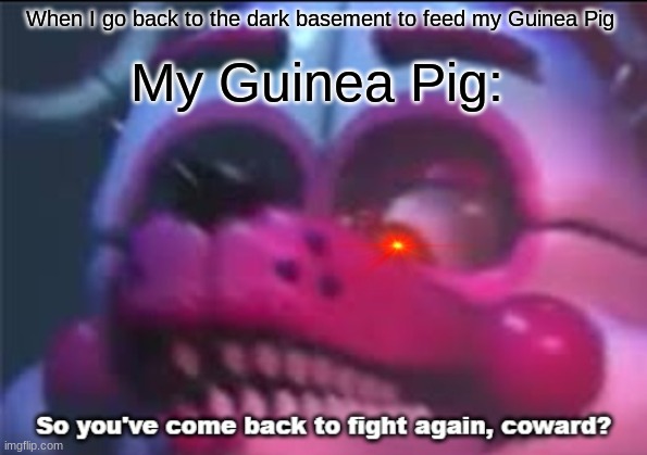 The dark and very scary basement | When I go back to the dark basement to feed my Guinea Pig; My Guinea Pig: | image tagged in so you 've come back to fight again coward,fnaf | made w/ Imgflip meme maker