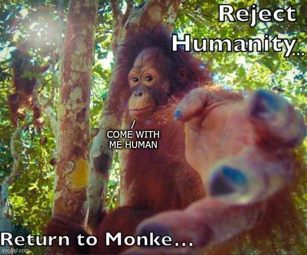 Go With The Monke Way... | ... /
COME WITH ME HUMAN; ... | image tagged in old,monke,meme,oh wow are you actually reading these tags | made w/ Imgflip meme maker