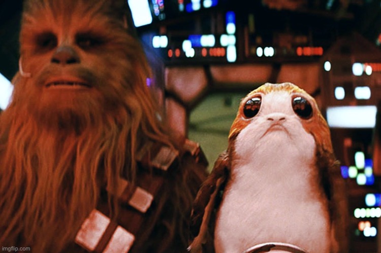 Chewbacca And A Porg | image tagged in chewbacca and a porg | made w/ Imgflip meme maker