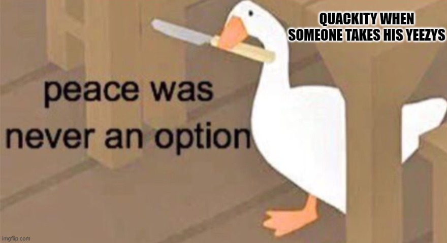 Untitled Goose Peace Was Never an Option | QUACKITY WHEN SOMEONE TAKES HIS YEEZYS | image tagged in untitled goose peace was never an option | made w/ Imgflip meme maker
