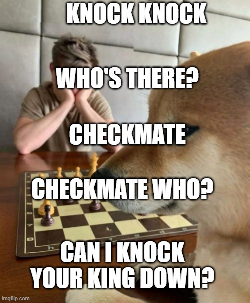 Chess doge | KNOCK KNOCK; WHO'S THERE? CHECKMATE; CHECKMATE WHO? CAN I KNOCK YOUR KING DOWN? | image tagged in chess doge | made w/ Imgflip meme maker