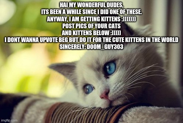 First World Problems Cat Meme | HAI MY WONDERFUL DUDES,
ITS BEEN A WHILE SINCE I DID ONE OF THESE.
ANYWAY, I AM GETTING KITTENS :)))))))
POST PICS OF YOUR CATS AND KITTENS BELOW :)))))
I DONT WANNA UPVOTE BEG BUT DO IT FOR THE CUTE KITTENS IN THE WORLD
SINCERELY: DOOM_GUY303 | image tagged in memes,first world problems cat | made w/ Imgflip meme maker