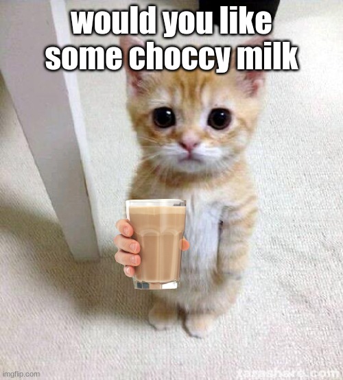 I offer free | would you like some choccy milk | image tagged in memes,cute cat | made w/ Imgflip meme maker