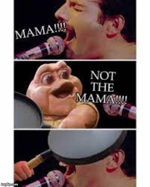 NOT THE MAMA | image tagged in not the mama | made w/ Imgflip meme maker