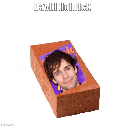David dobrick | image tagged in bricks,funny,celebrities | made w/ Imgflip meme maker