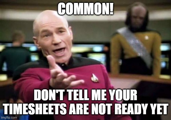 Picard Wtf | COMMON! DON'T TELL ME YOUR TIMESHEETS ARE NOT READY YET | image tagged in memes,picard wtf | made w/ Imgflip meme maker