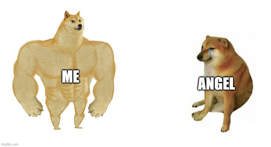 Buff Doge vs Crying Cheems | ME ANGEL | image tagged in buff doge vs crying cheems | made w/ Imgflip meme maker