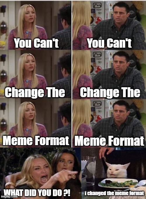 What were you saying Phoebe? | You Can't; You Can't; Change The; Change The; Meme Format; Meme Format; WHAT DID YOU DO ?! i changed the meme format | image tagged in phoebe joey,format change | made w/ Imgflip meme maker