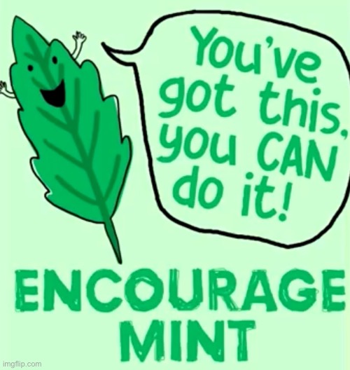 You’ve been scrolling for a while, have some mint | image tagged in wholesome | made w/ Imgflip meme maker