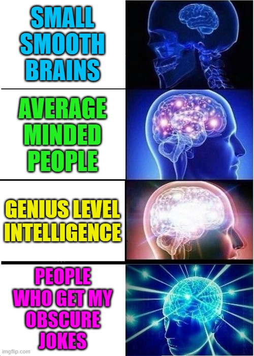 Expanding Brain Meme | SMALL
SMOOTH
BRAINS; AVERAGE
MINDED
PEOPLE; GENIUS LEVEL
INTELLIGENCE; PEOPLE
WHO GET MY
OBSCURE
JOKES | image tagged in memes,expanding brain | made w/ Imgflip meme maker