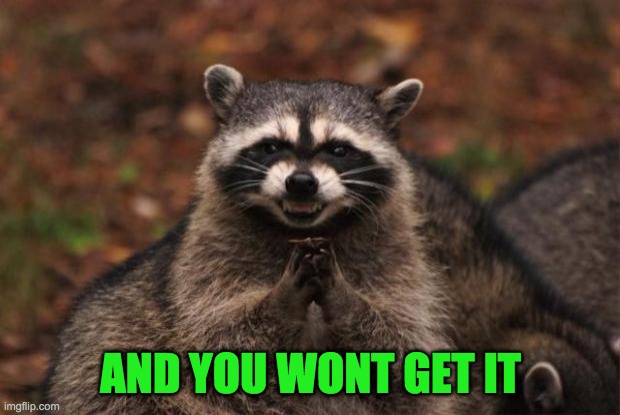 evil genius racoon | AND YOU WONT GET IT | image tagged in evil genius racoon | made w/ Imgflip meme maker