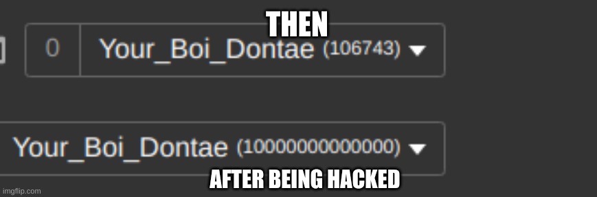 *Image Title* |  THEN; AFTER BEING HACKED | made w/ Imgflip meme maker