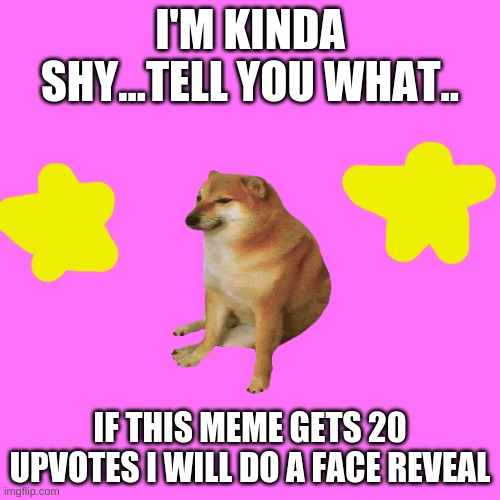 20 upvotes and I'll do a face reveal! | I'M KINDA SHY...TELL YOU WHAT.. IF THIS MEME GETS 20 UPVOTES I WILL DO A FACE REVEAL | image tagged in memes,face reveal,upvotes | made w/ Imgflip meme maker