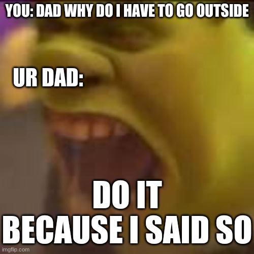 shreck | YOU: DAD WHY DO I HAVE TO GO OUTSIDE; UR DAD:; DO IT BECAUSE I SAID SO | image tagged in memes,shrek | made w/ Imgflip meme maker