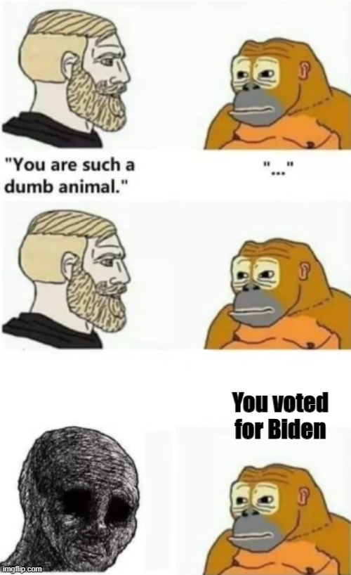 your such a dumb animal | You voted for Biden | image tagged in your such a dumb animal | made w/ Imgflip meme maker