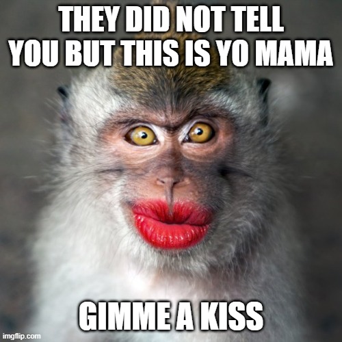 THEY DID NOT TELL YOU BUT THIS IS YO MAMA; GIMME A KISS | image tagged in monkey business | made w/ Imgflip meme maker