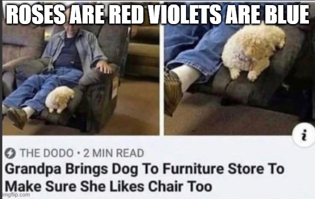ROSES ARE RED VIOLETS ARE BLUE | image tagged in f | made w/ Imgflip meme maker