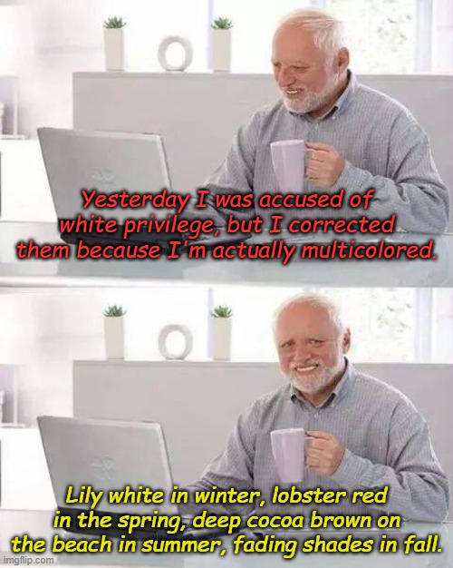 Now if they would just stop blaming my success on the colors of my skin...... | Yesterday I was accused of white privilege, but I corrected them because I'm actually multicolored. Lily white in winter, lobster red in the spring, deep cocoa brown on the beach in summer, fading shades in fall. | image tagged in memes,hide the pain harold | made w/ Imgflip meme maker
