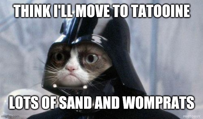 Grumpy Cat Star Wars | THINK I'LL MOVE TO TATOOINE; LOTS OF SAND AND WOMPRATS | image tagged in memes,grumpy cat star wars,grumpy cat | made w/ Imgflip meme maker