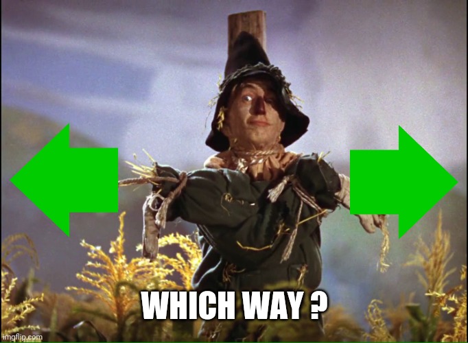 Wizard of Oz Scarecrow which way | WHICH WAY ? | image tagged in wizard of oz scarecrow which way | made w/ Imgflip meme maker