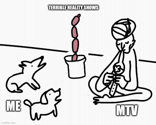 MTV and ME | TERRIBLE REALITY SHOWS; ME; MTV | image tagged in dogs and sausage charmer | made w/ Imgflip meme maker