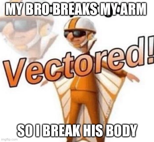 You just got vectored | MY BRO BREAKS MY ARM; SO I BREAK HIS BODY | image tagged in you just got vectored | made w/ Imgflip meme maker