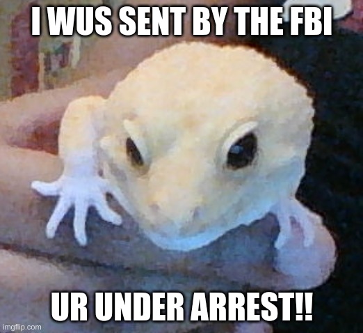 I WUS SENT BY THE FBI UR UNDER ARREST!! | made w/ Imgflip meme maker