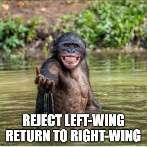 Reject humanity | REJECT LEFT-WING RETURN TO RIGHT-WING | image tagged in reject humanity | made w/ Imgflip meme maker