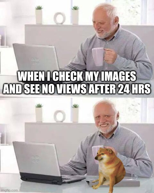 Hide the Pain Harold Meme | WHEN I CHECK MY IMAGES AND SEE NO VIEWS AFTER 24 HRS | image tagged in memes,hide the pain harold | made w/ Imgflip meme maker