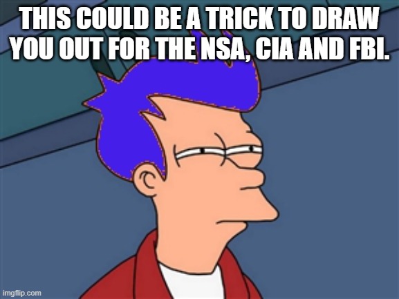 Blue Futurama Fry Meme | THIS COULD BE A TRICK TO DRAW YOU OUT FOR THE NSA, CIA AND FBI. | image tagged in memes,blue futurama fry | made w/ Imgflip meme maker