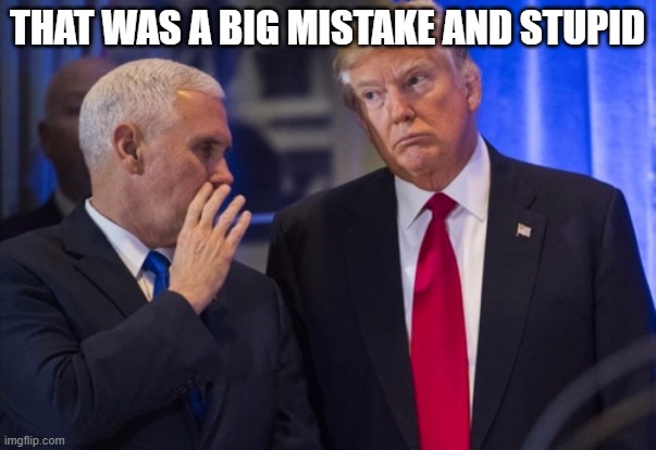 Trump Pence | THAT WAS A BIG MISTAKE AND STUPID | image tagged in trump pence | made w/ Imgflip meme maker