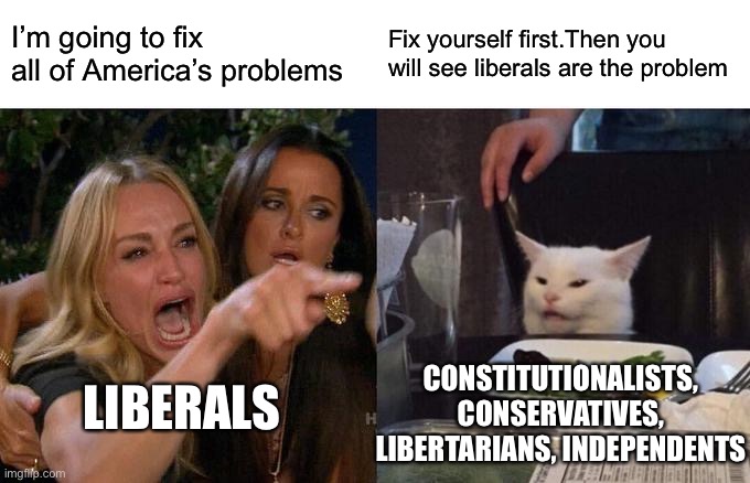 Woman Yelling At Cat | I’m going to fix all of America’s problems; Fix yourself first.Then you will see liberals are the problem; CONSTITUTIONALISTS, CONSERVATIVES, LIBERTARIANS, INDEPENDENTS; LIBERALS | image tagged in memes,woman yelling at cat | made w/ Imgflip meme maker