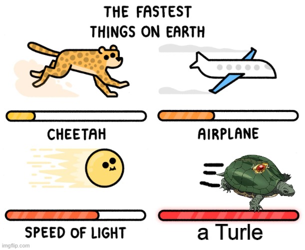 Turtle FAST! | a Turle | image tagged in fastest thing on earth,turtle | made w/ Imgflip meme maker