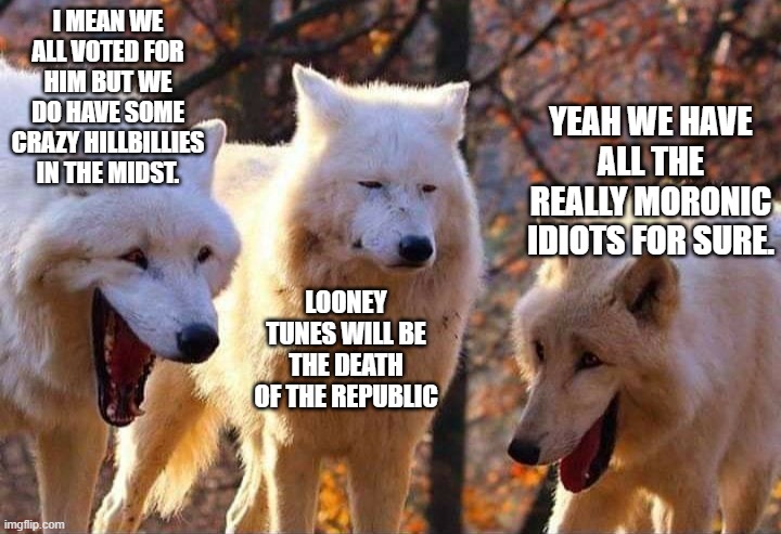 Laughing wolf | I MEAN WE ALL VOTED FOR HIM BUT WE DO HAVE SOME CRAZY HILLBILLIES IN THE MIDST. LOONEY TUNES WILL BE THE DEATH OF THE REPUBLIC YEAH WE HAVE  | image tagged in laughing wolf | made w/ Imgflip meme maker