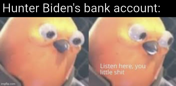 Listen here you little shit bird | Hunter Biden's bank account: | image tagged in listen here you little shit bird | made w/ Imgflip meme maker