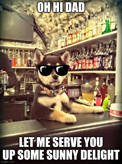 hi dad back with the milk I see. | OH HI DAD; LET ME SERVE YOU UP SOME SUNNY DELIGHT | image tagged in bartender puppy | made w/ Imgflip meme maker