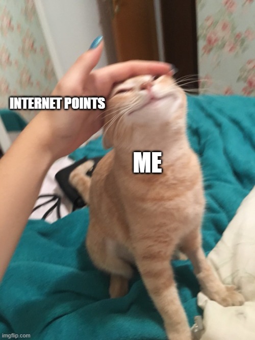 cat pat | INTERNET POINTS; ME | image tagged in cat pat | made w/ Imgflip meme maker