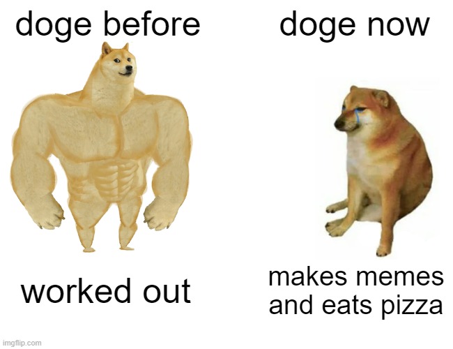 Buff Doge vs. Cheems | doge before; doge now; worked out; makes memes and eats pizza | image tagged in memes,buff doge vs cheems | made w/ Imgflip meme maker