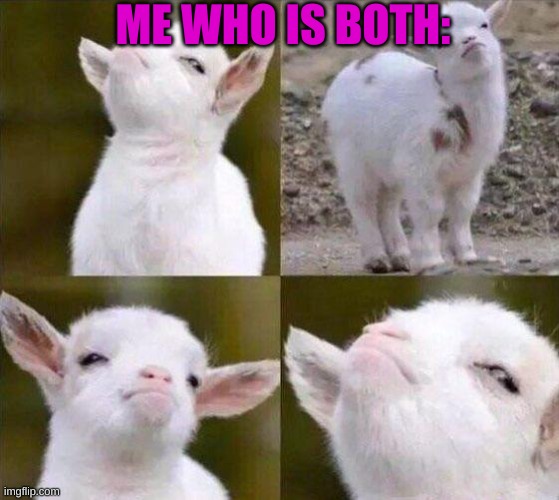 Smug Goat | ME WHO IS BOTH: | image tagged in smug goat | made w/ Imgflip meme maker