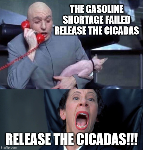 Release the Cicadas!!! | THE GASOLINE SHORTAGE FAILED RELEASE THE CICADAS; RELEASE THE CICADAS!!! | image tagged in dr evil,gas shortage,cicadas,release the | made w/ Imgflip meme maker