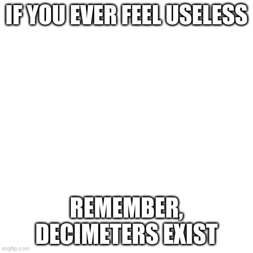 why do they exist | IF YOU EVER FEEL USELESS; REMEMBER, DECIMETERS EXIST | image tagged in memes,blank transparent square,funny,so true memes | made w/ Imgflip meme maker