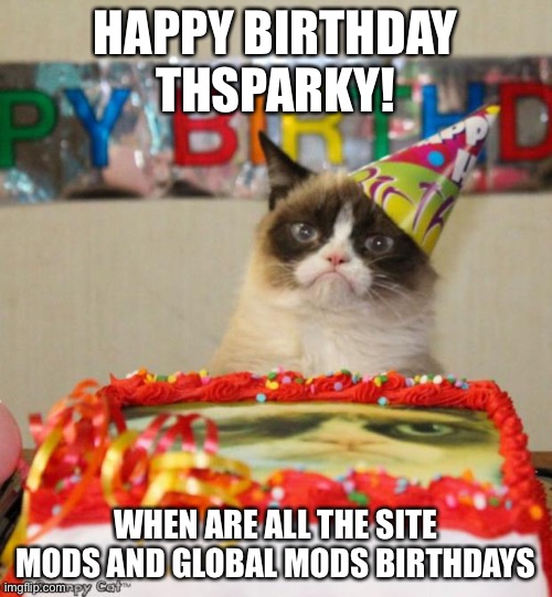 Happy bday bro | HAPPY BIRTHDAY THSPARKY! WHEN ARE ALL THE SITE MODS AND GLOBAL MODS BIRTHDAYS | image tagged in memes,grumpy cat birthday,grumpy cat | made w/ Imgflip meme maker