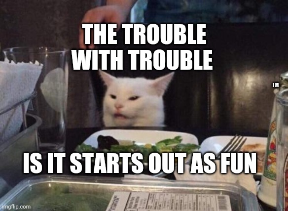Salad cat | THE TROUBLE WITH TROUBLE; J M; IS IT STARTS OUT AS FUN | image tagged in salad cat | made w/ Imgflip meme maker